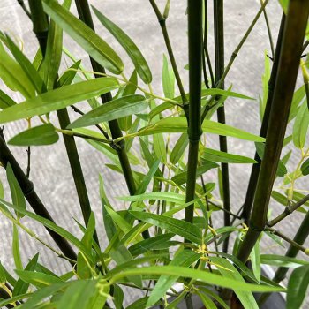 仿真竹子 仿真竹子